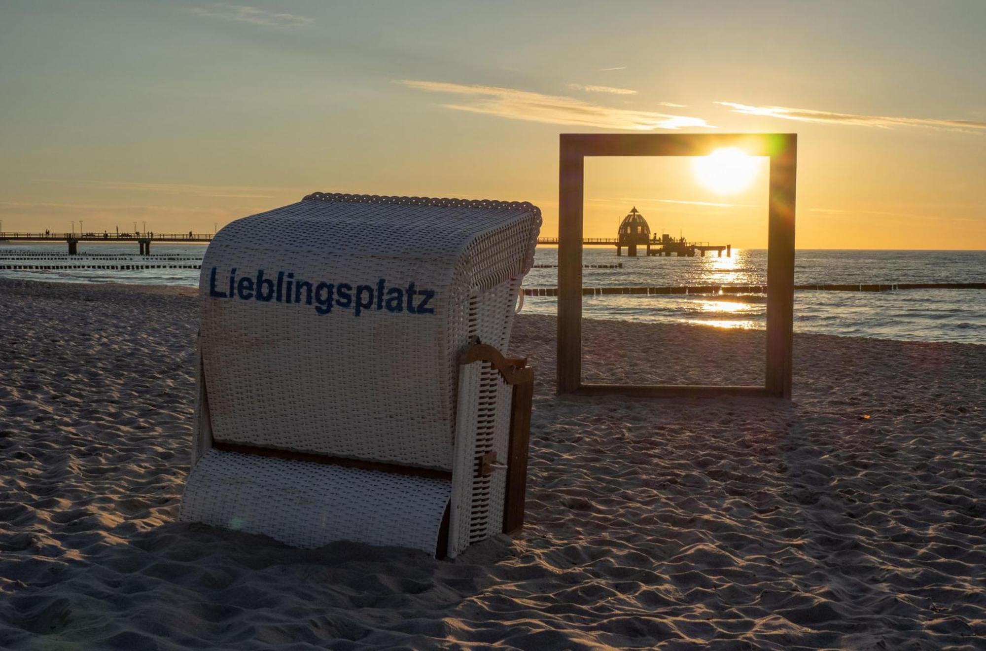 Seehund An Der Seebruecke Zingst Luaran gambar