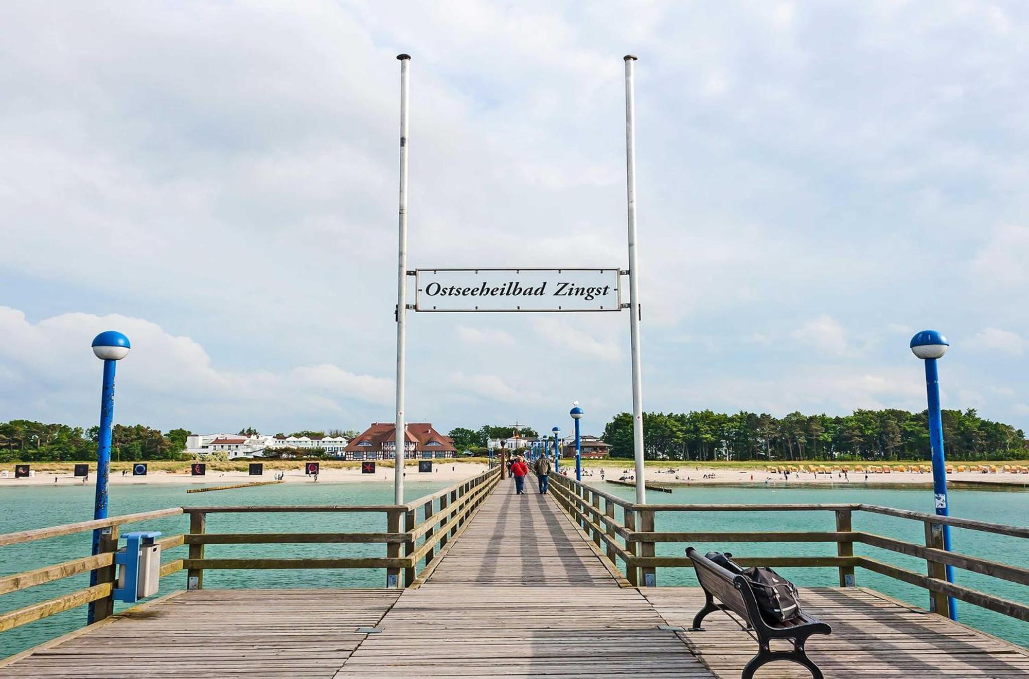 Seehund An Der Seebruecke Zingst Luaran gambar