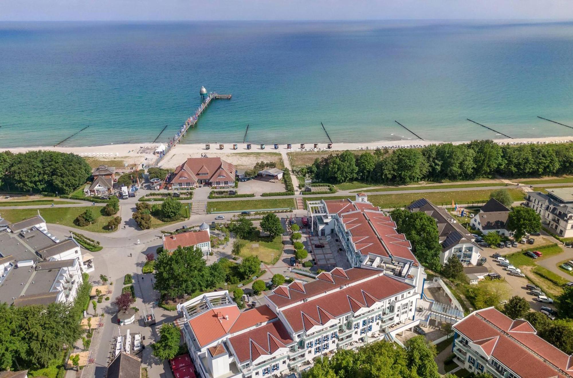 Seehund An Der Seebruecke Zingst Luaran gambar