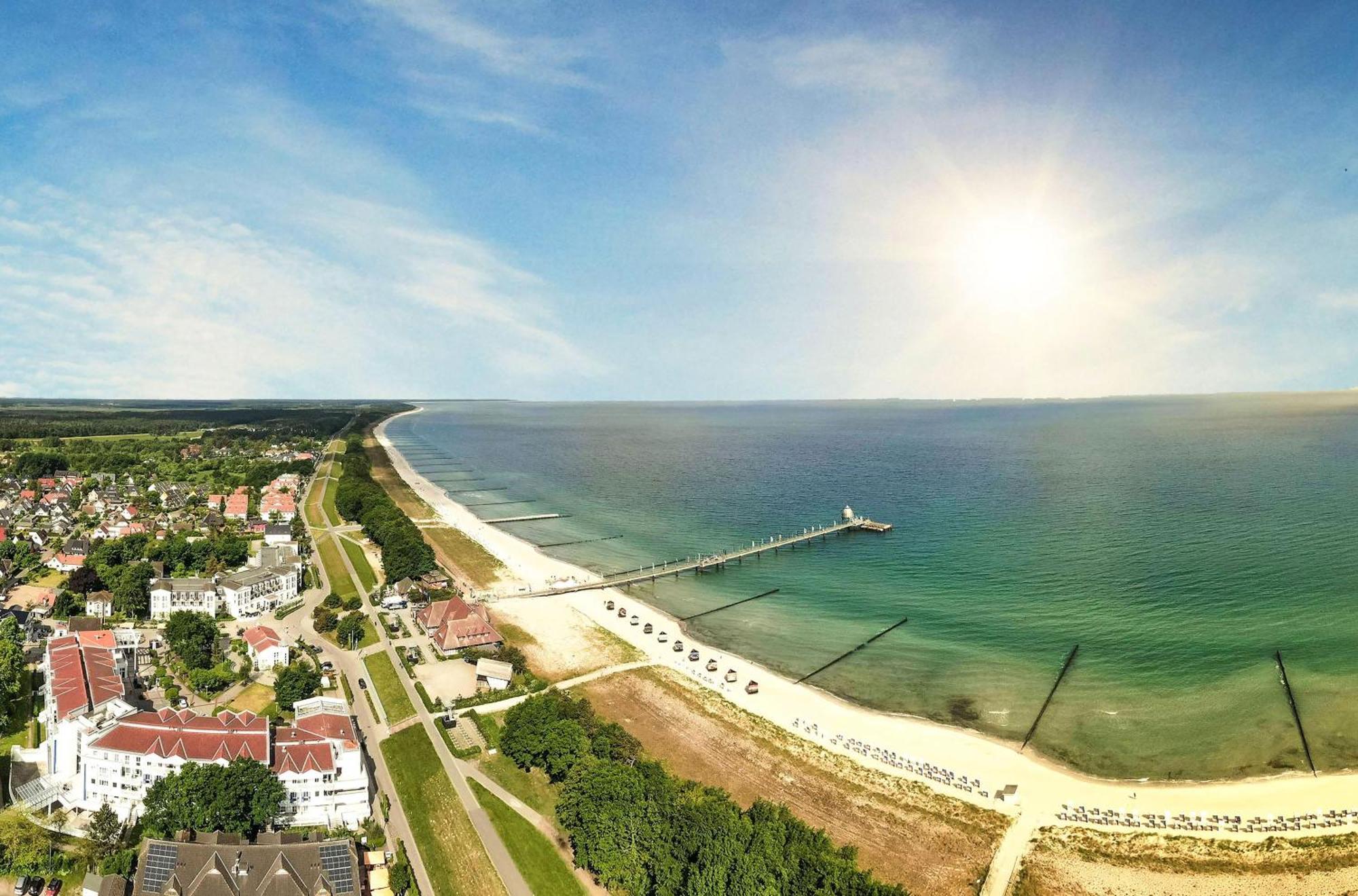 Seehund An Der Seebruecke Zingst Luaran gambar